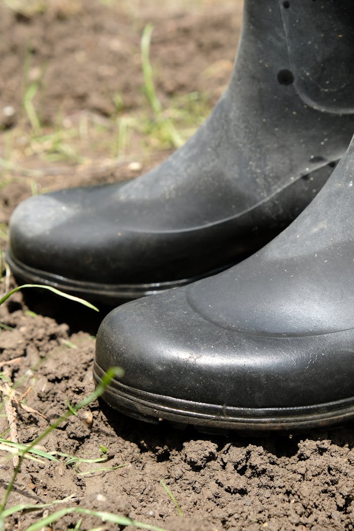 Black rubber boots standing on a patch of soil with grass blades visible, perfect for gardening themes.