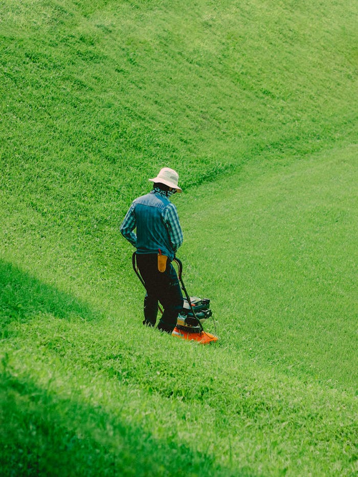 our-story Back view of a man mowing grass on a sunny day with a vibrant green lawn.